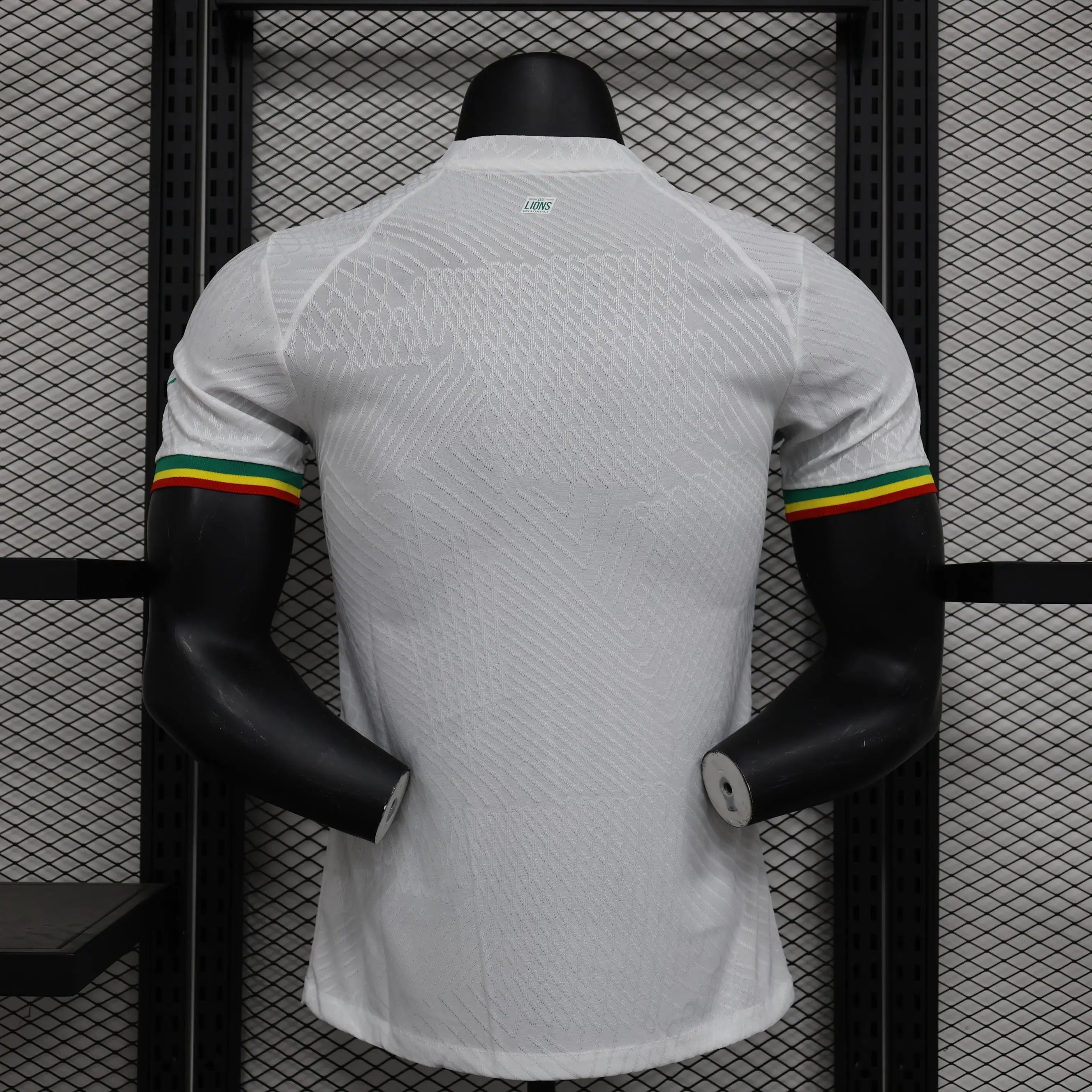 MAILLOT SENEGAL CONCEPT EDITION 2023/2024 - Maillot du Monde