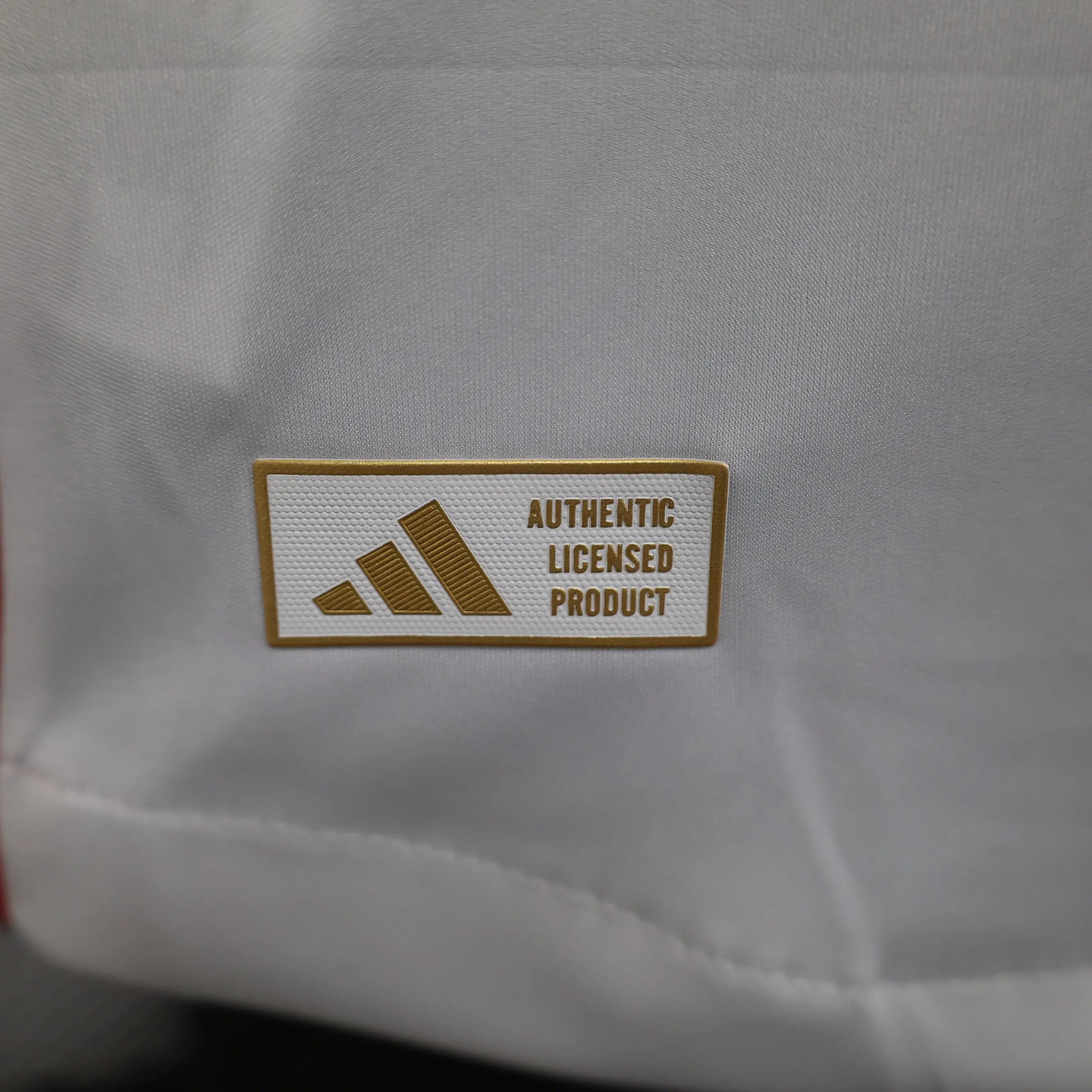 MAILLOT OLYMPIQUE LYONNAIS DOMICILE 2024/2025 - Maillot du Monde