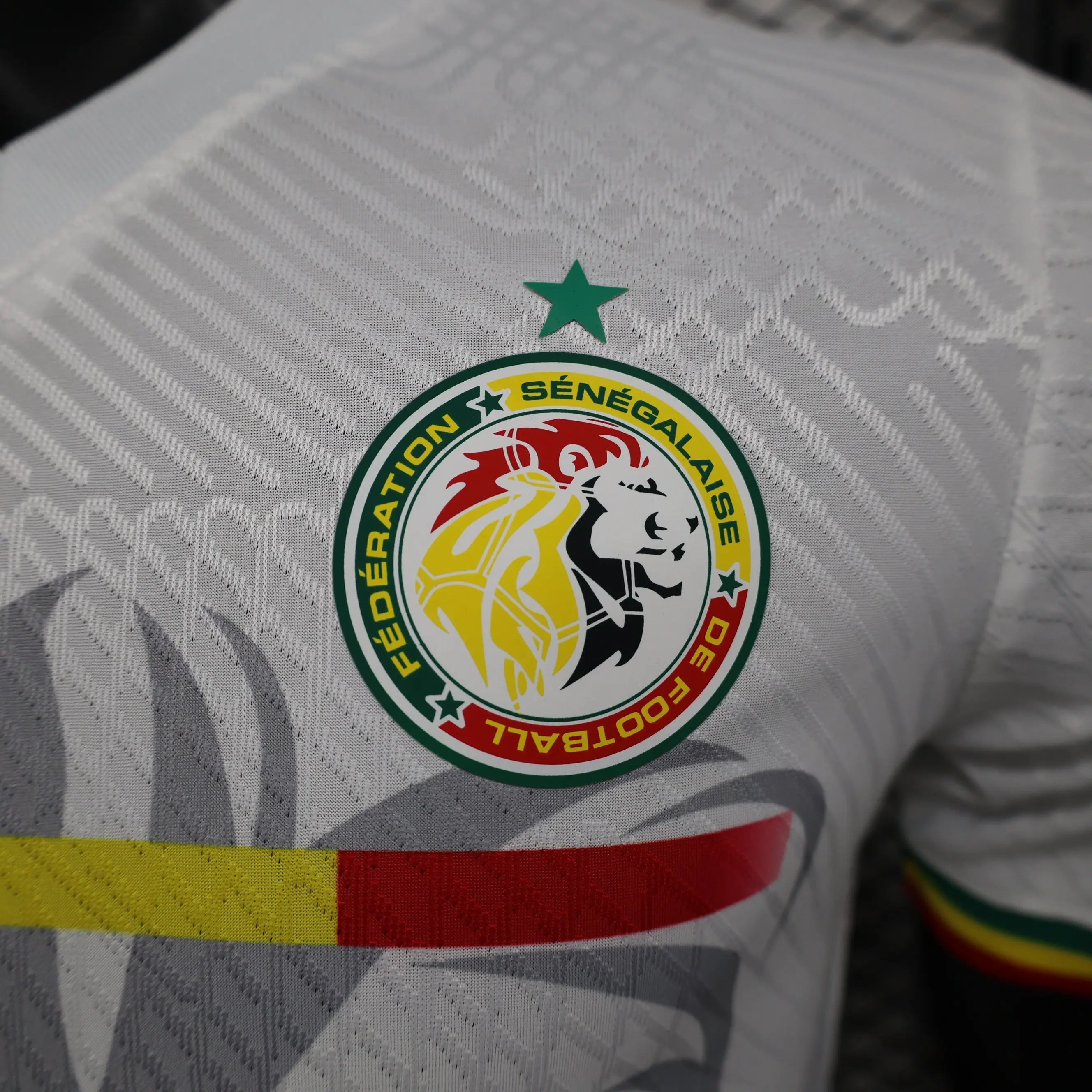 MAILLOT SENEGAL CONCEPT EDITION 2023/2024 - Maillot du Monde
