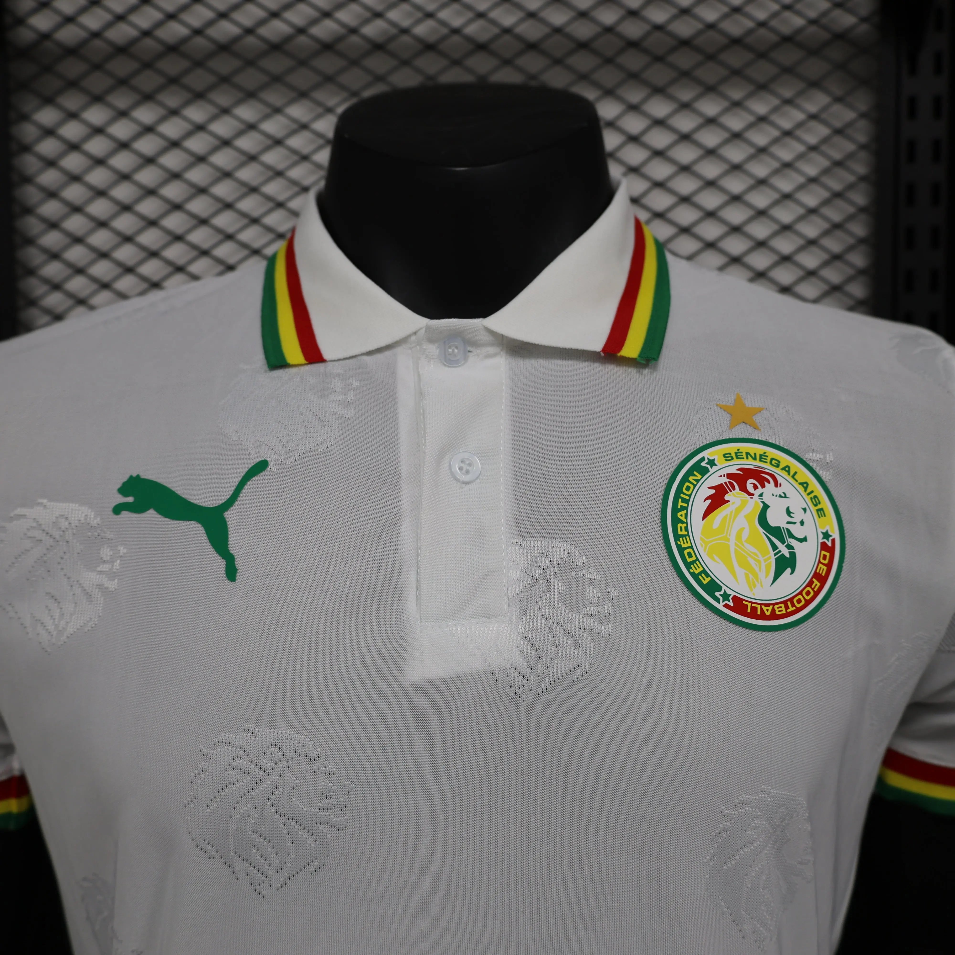 MAILLOT SENEGAL DOMICILE 2024/2025 - Maillot du Monde