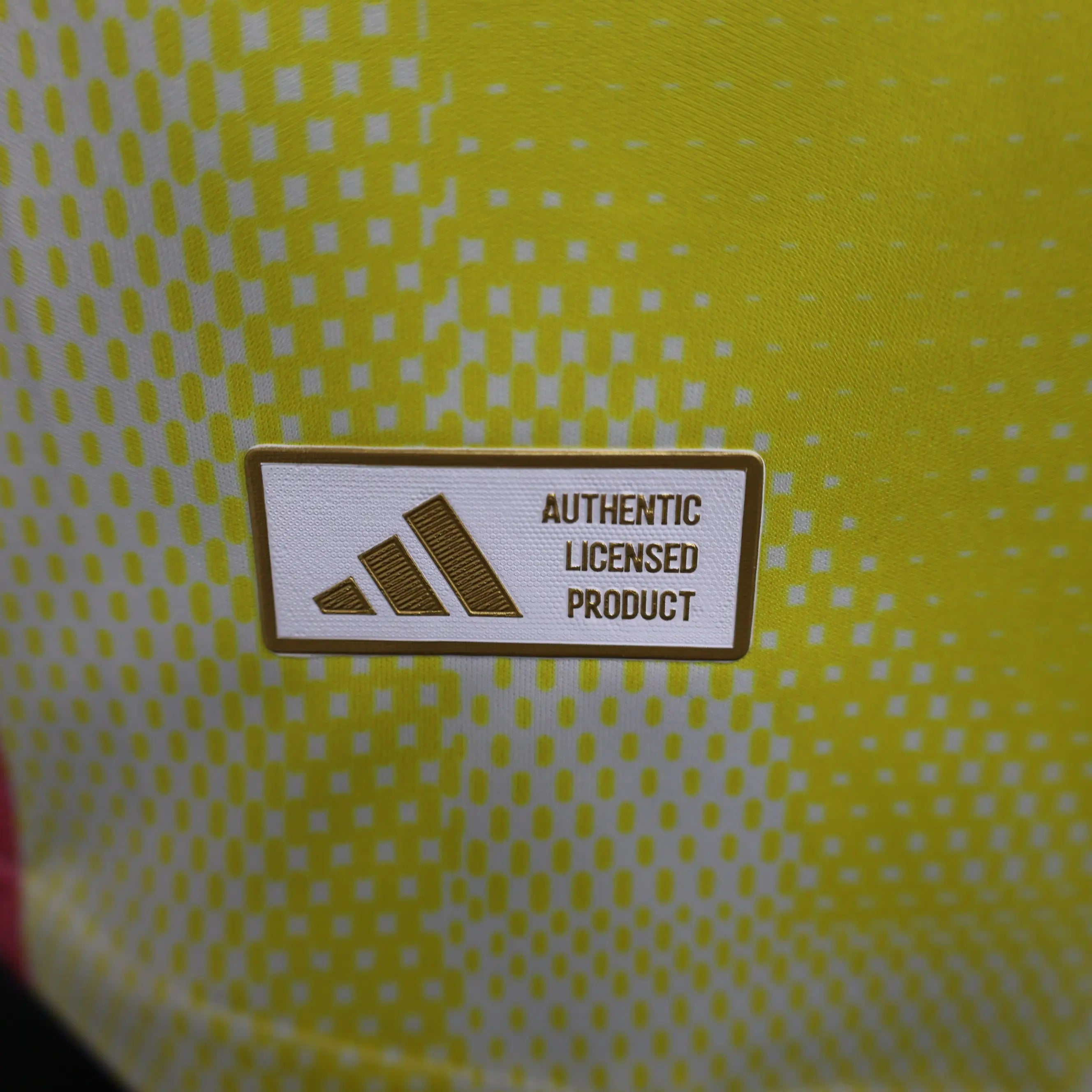 MAILLOT JUVENTUS EXTERIEUR 2024/2025 - Maillot du Monde