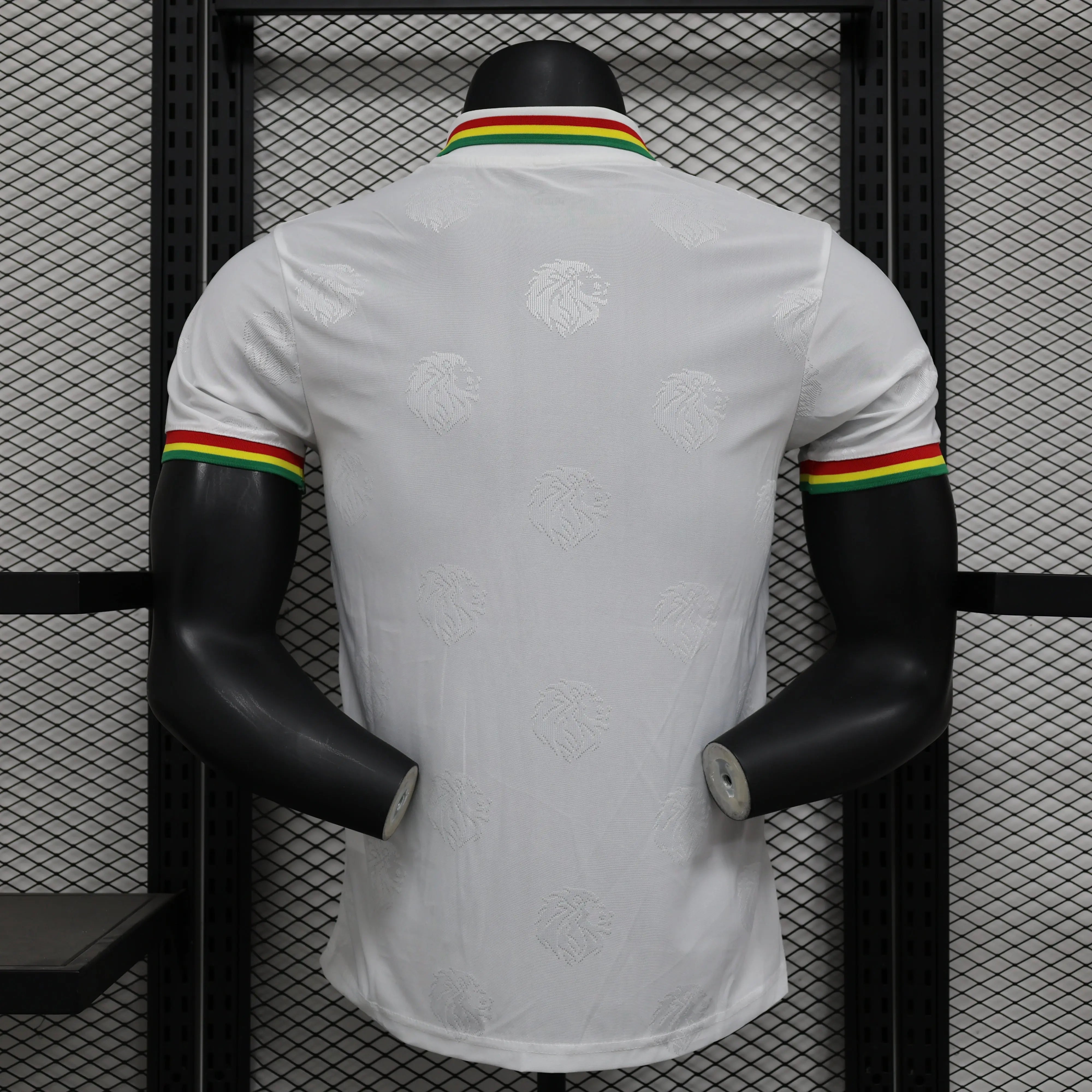 MAILLOT SENEGAL DOMICILE 2024/2025 - Maillot du Monde