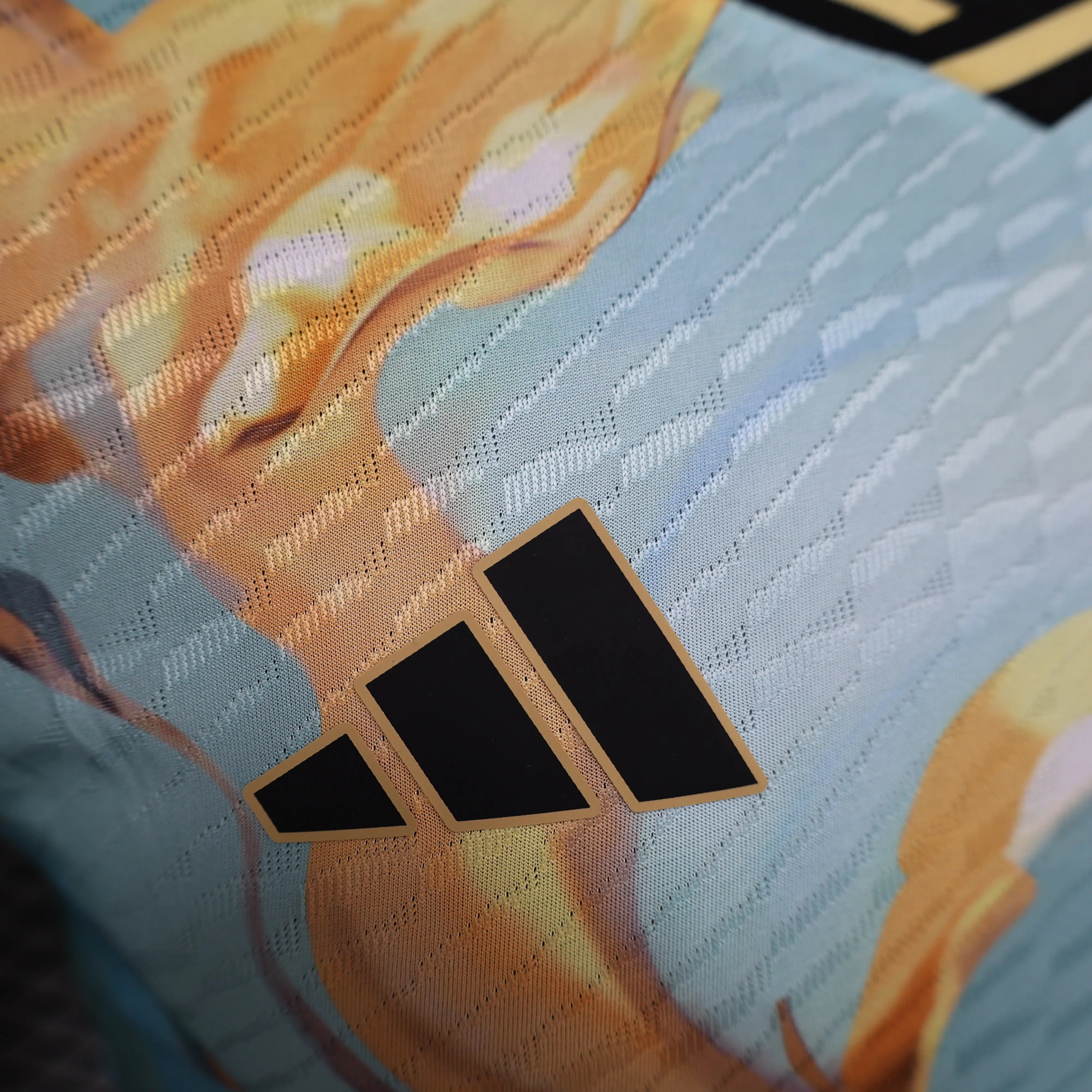 MAILLOT ARGENTINE CONCEPT 2024/2025 - Maillot du Monde
