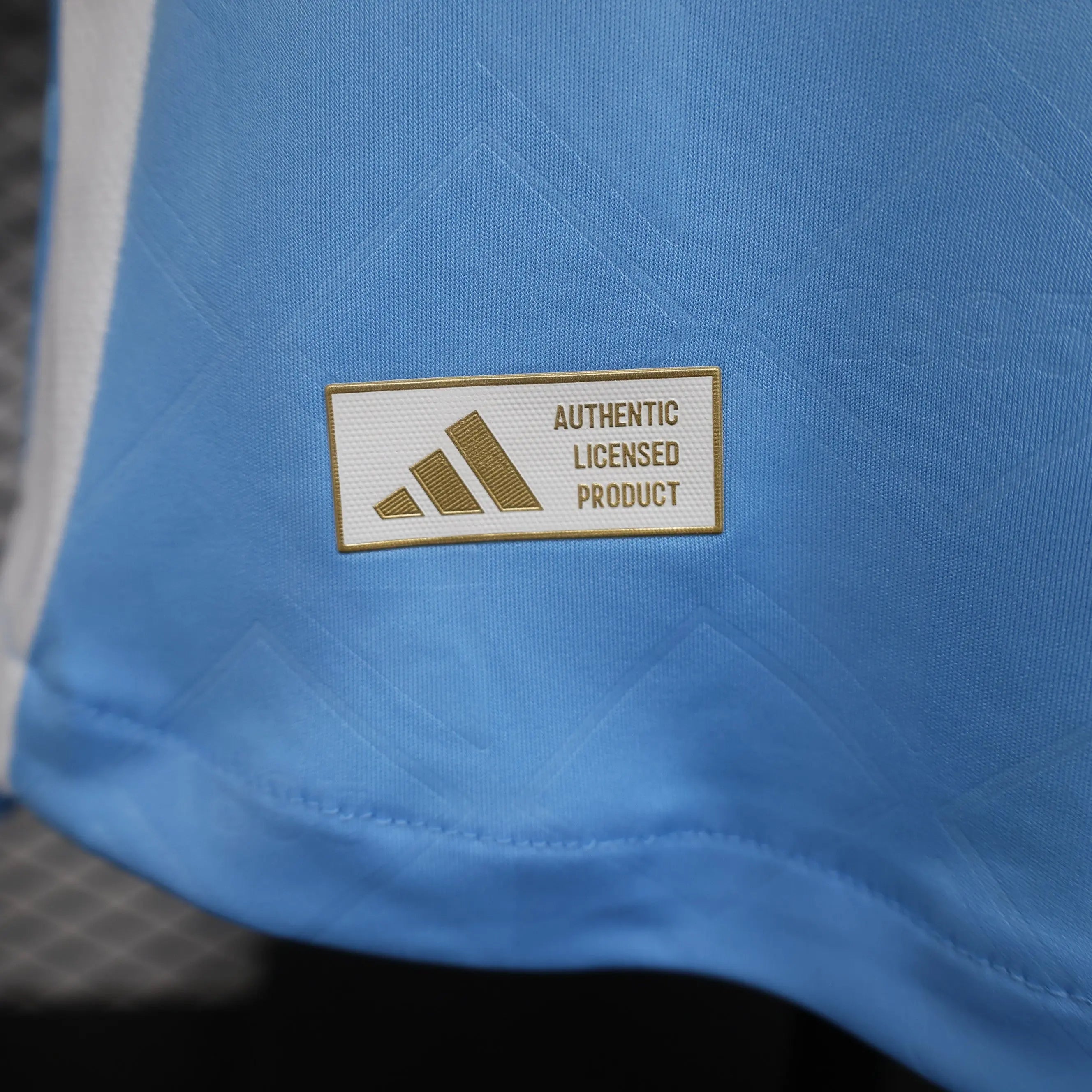 MAILLOT BELGIQUE EXTERIEUR 2024/2025 - Maillot du Monde