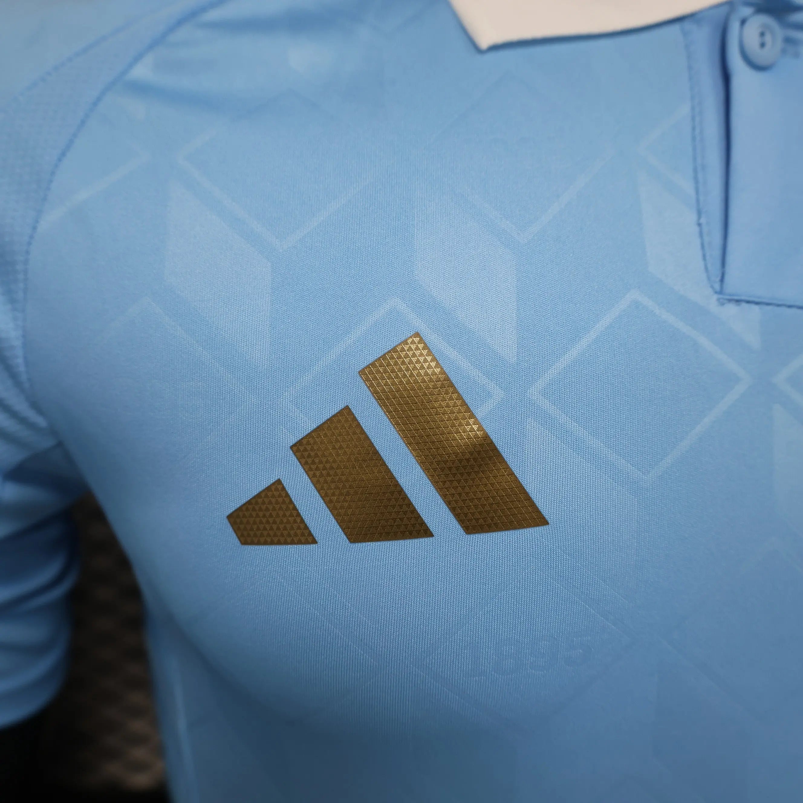 MAILLOT BELGIQUE EXTERIEUR 2024/2025 - Maillot du Monde