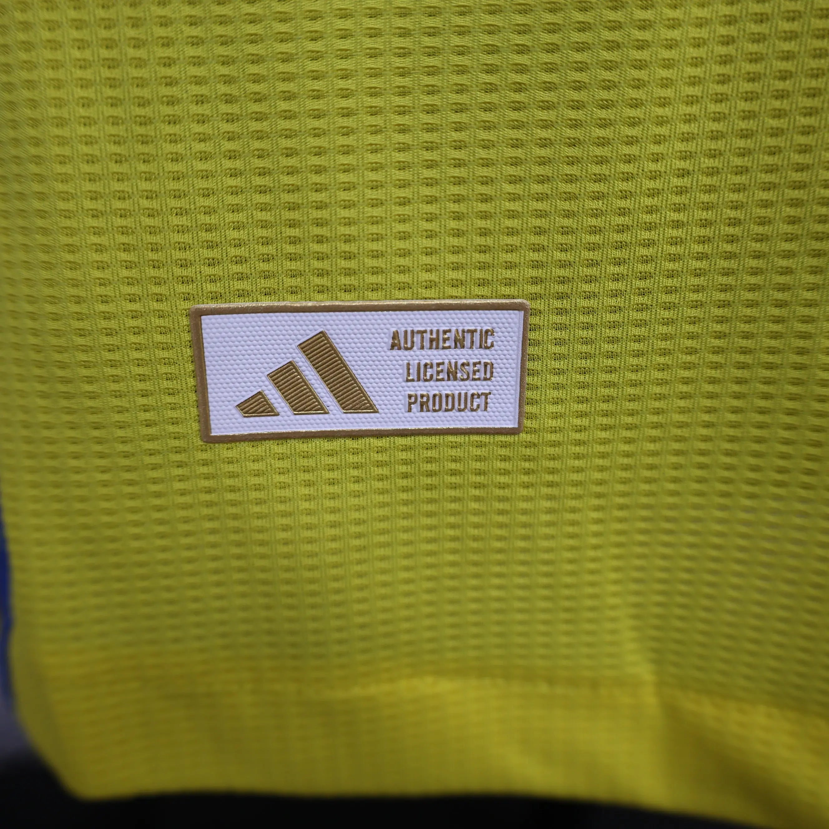 MAILLOT AL NASSR DOMICILE 2024/2025 - Maillot du Monde