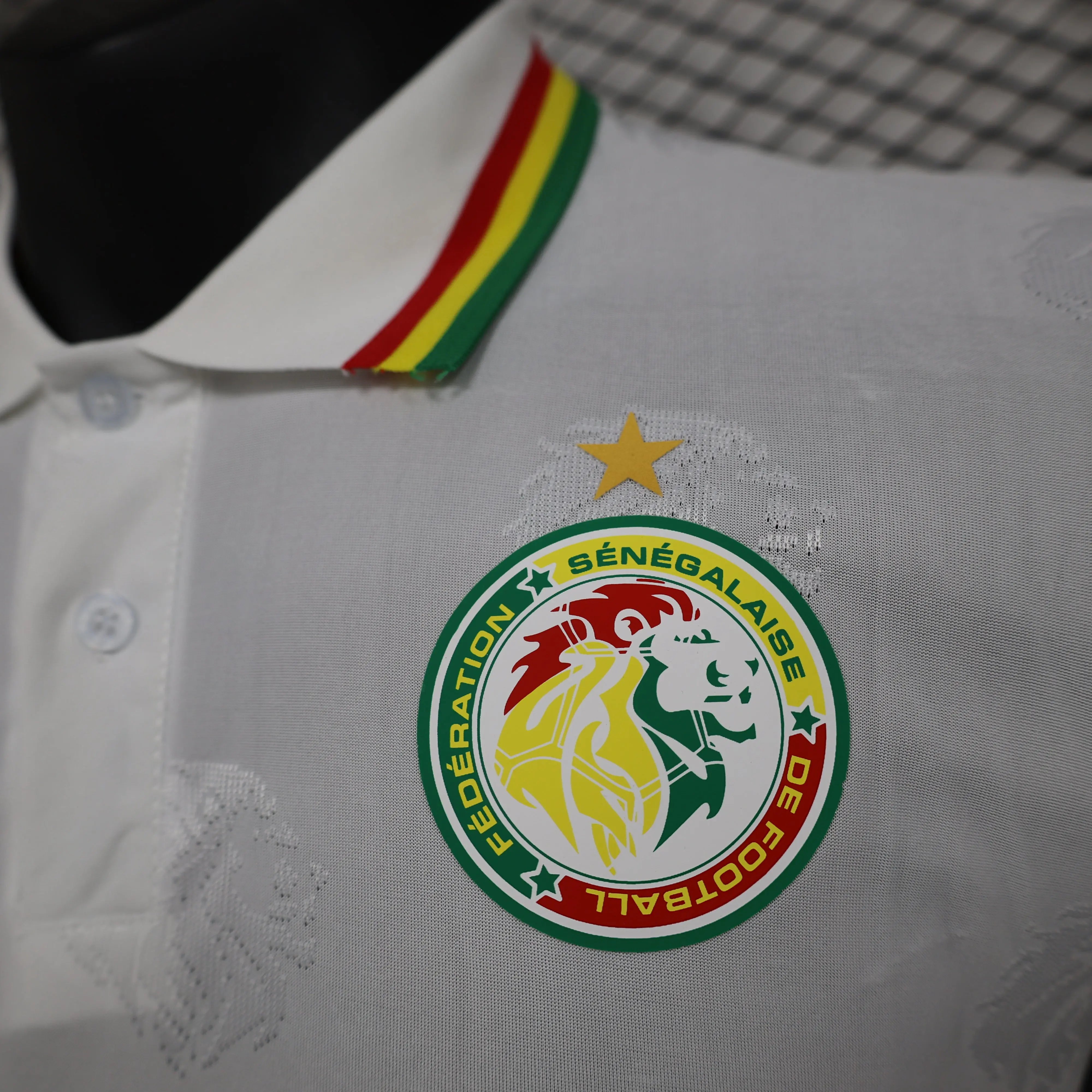 MAILLOT SENEGAL DOMICILE 2024/2025 - Maillot du Monde