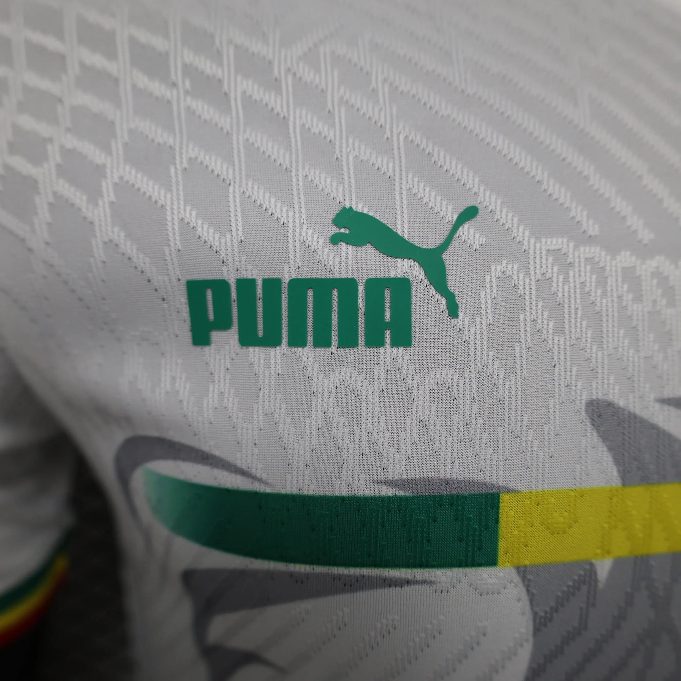 MAILLOT SENEGAL CONCEPT EDITION 2023/2024 - Maillot du Monde