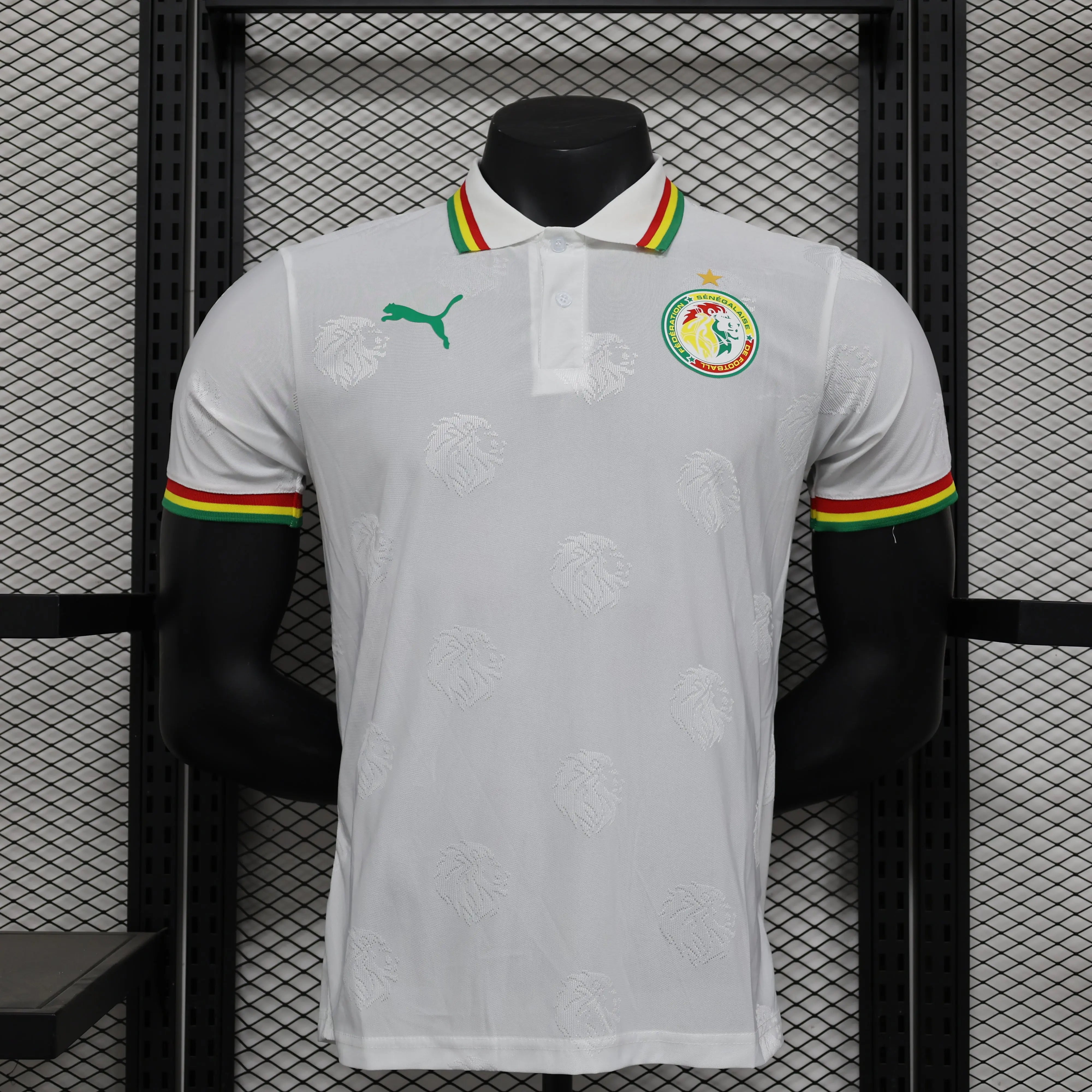 MAILLOT SENEGAL DOMICILE 2024/2025 - Maillot du Monde
