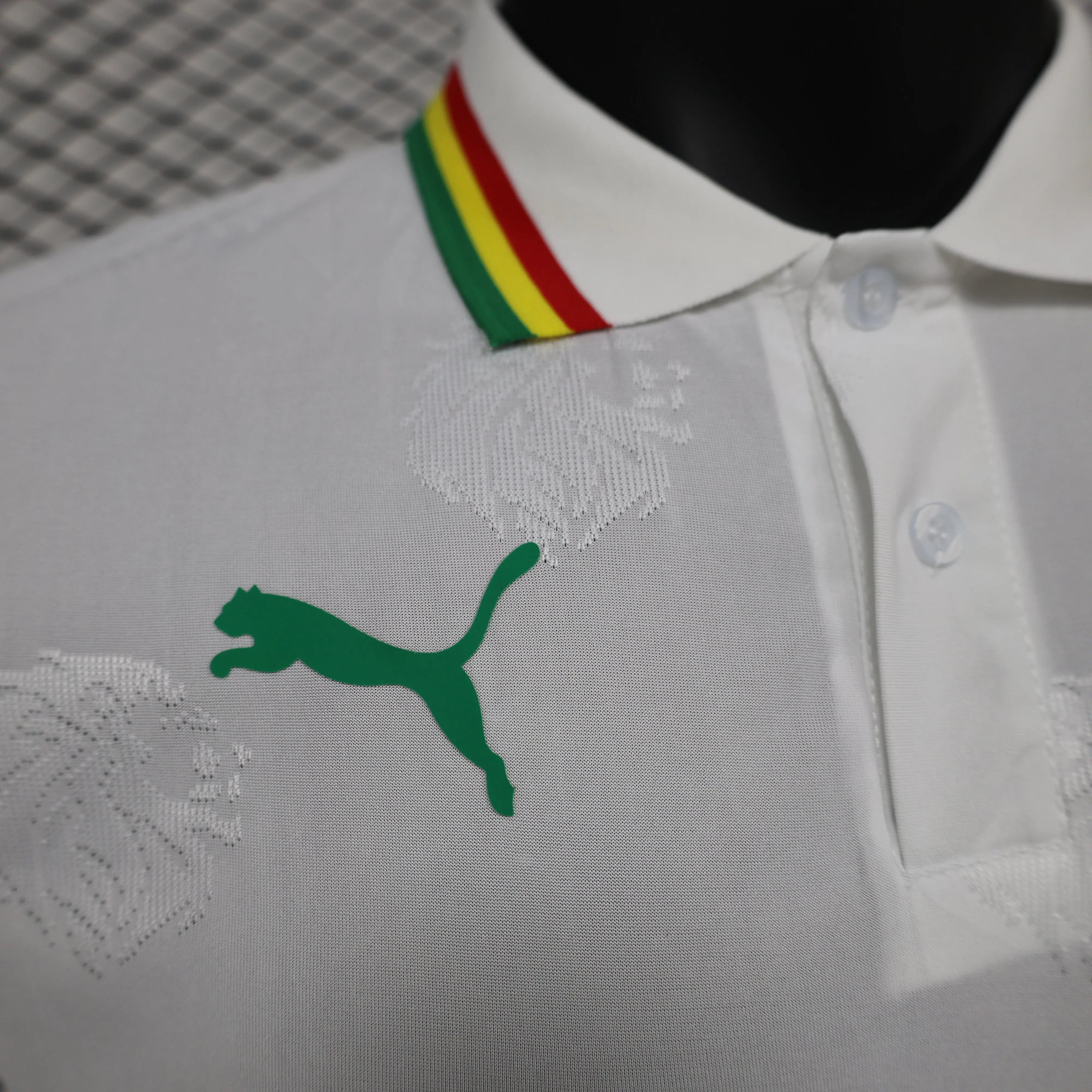 MAILLOT SENEGAL DOMICILE 2024/2025 - Maillot du Monde