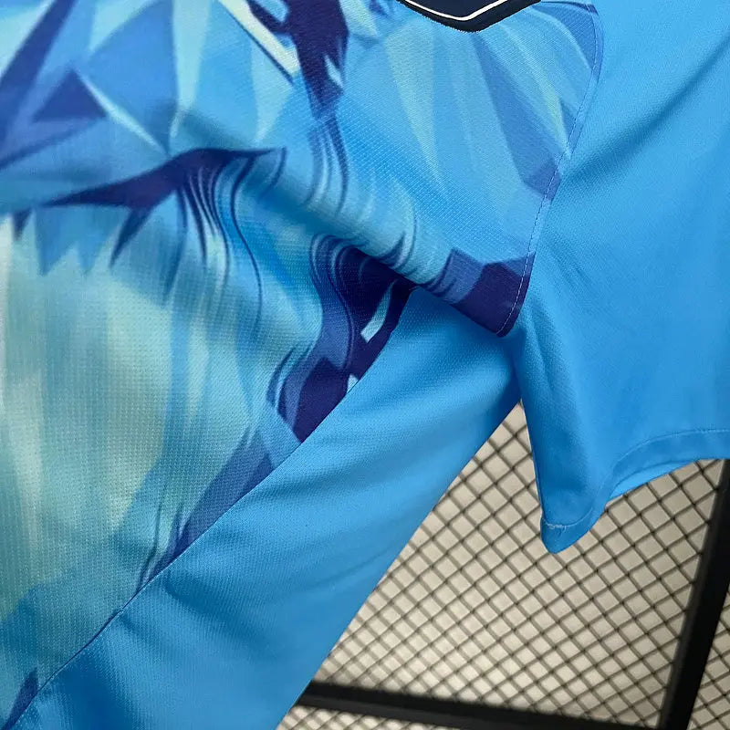 MAILLOT PAYS BAS CONCEPT 2024/2025 - Maillot du Monde