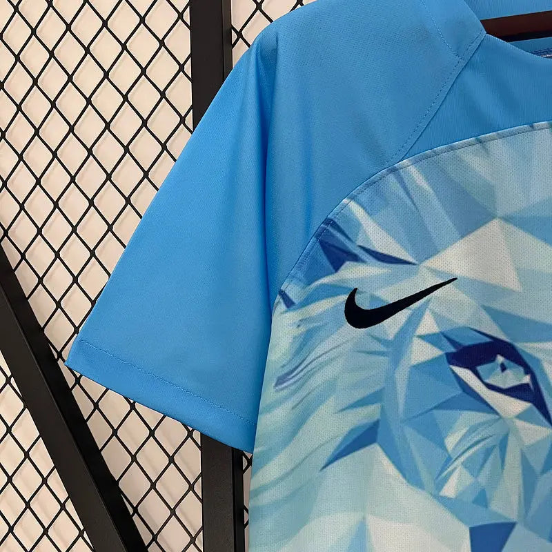 MAILLOT PAYS BAS CONCEPT 2024/2025 - Maillot du Monde