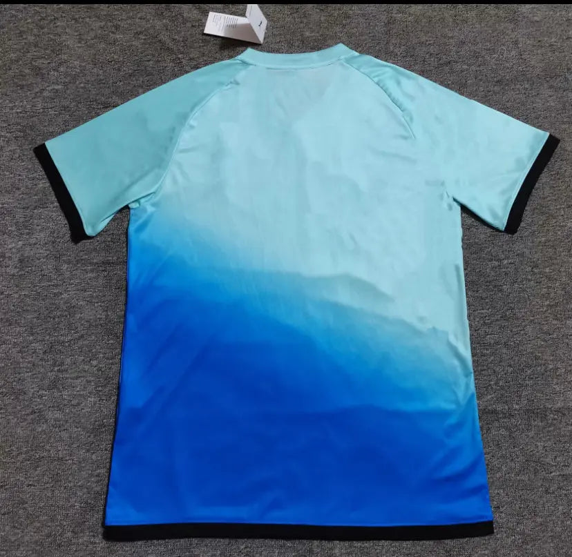 Concept Maillot Maroc 24/25 Bleu clair/Foncé - Maillot du Monde