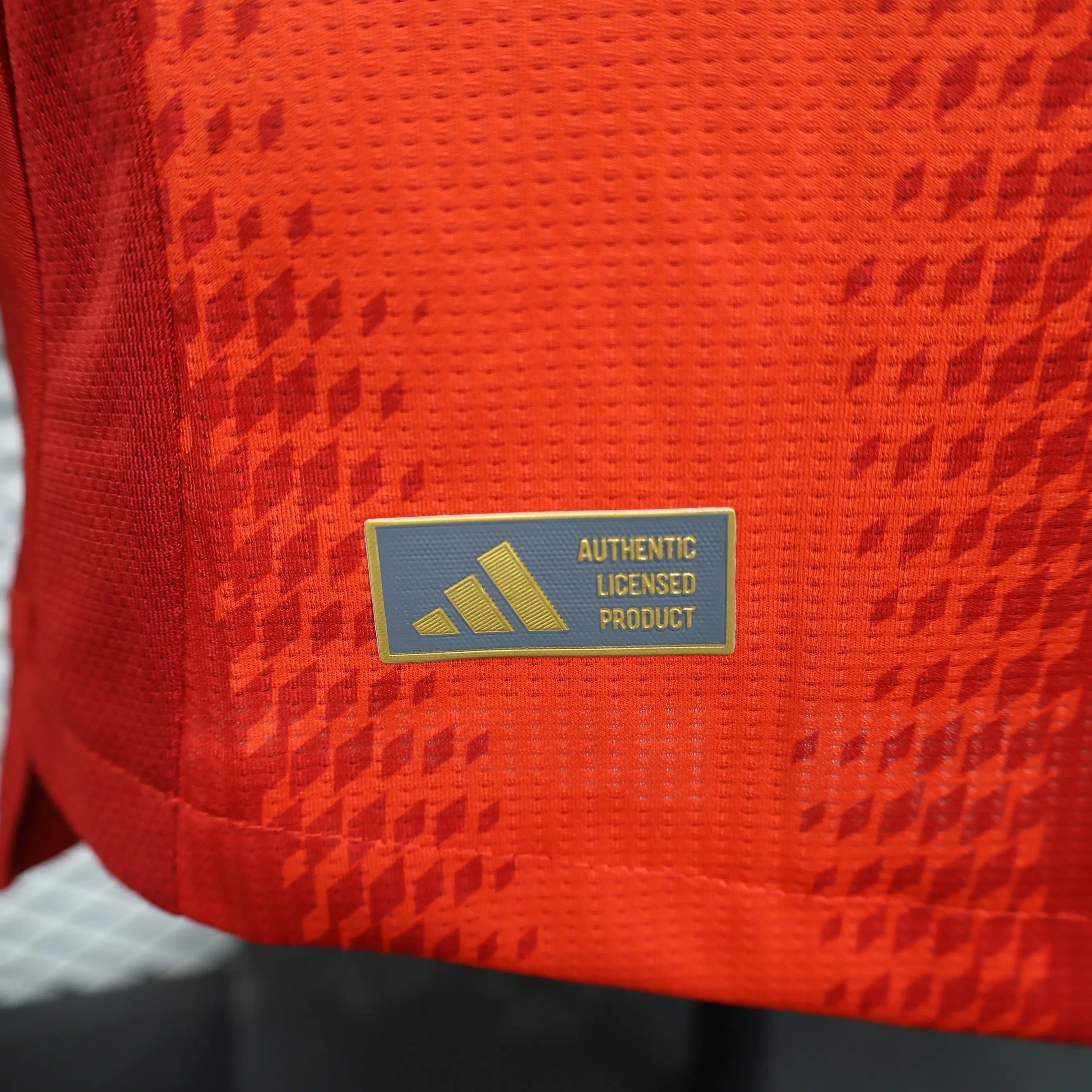 MAILLOT BAYERN MUNICH DOMICILE 2024/2025 - Maillot du Monde