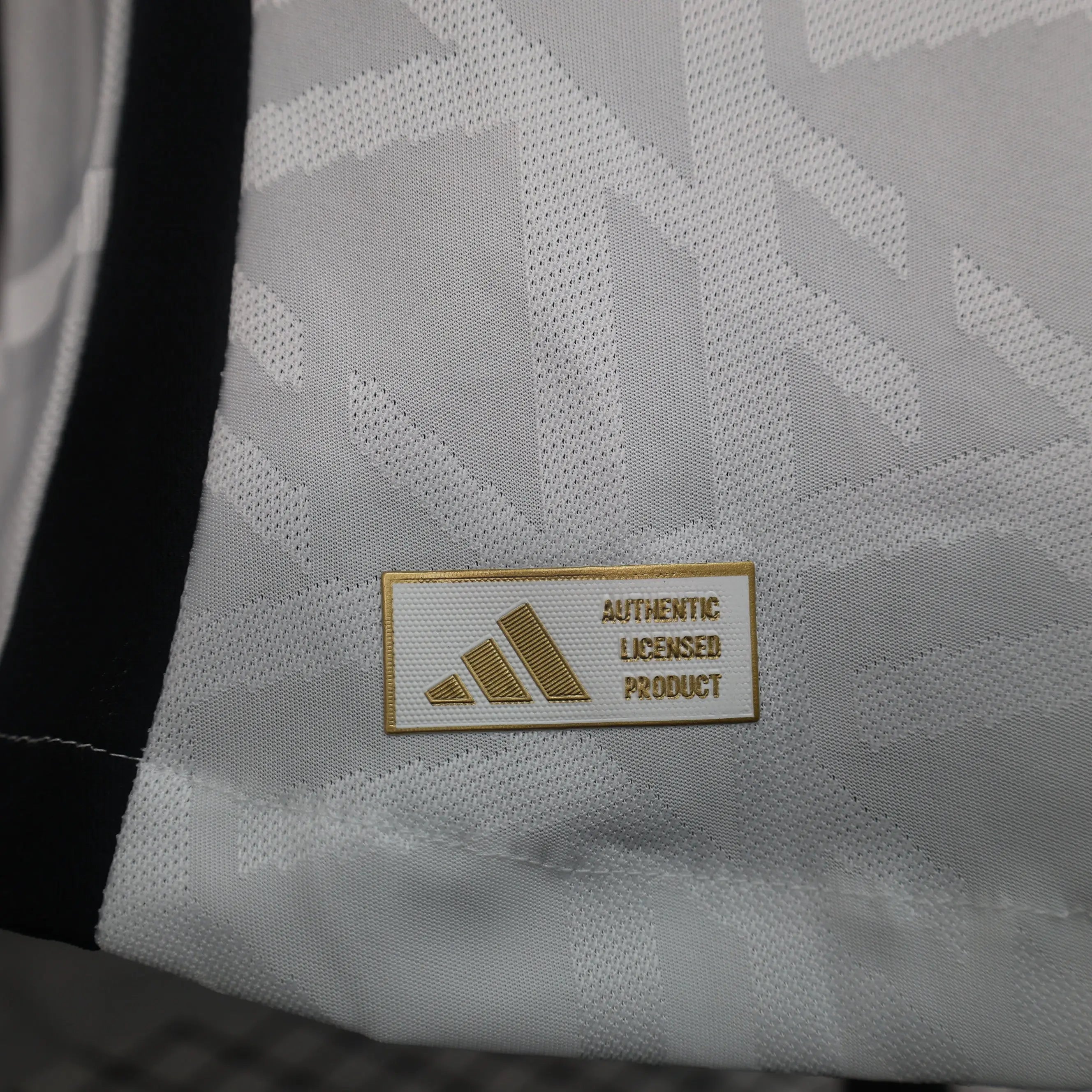 MAILLOT ALLEMAGNE DOMICILE 2024/2025 - Maillot du Monde