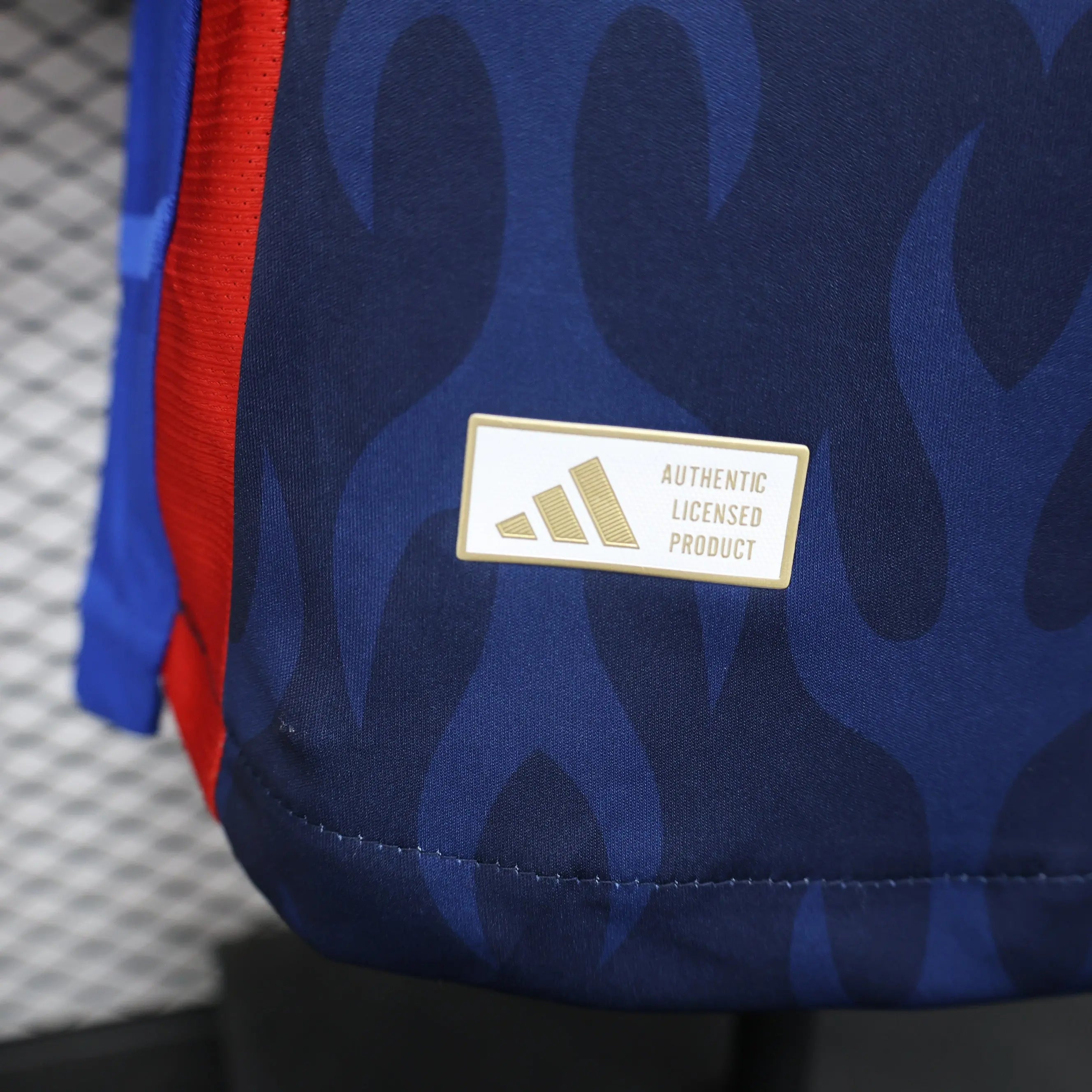 MAILLOT JAPON DOMICILE 2024/2025 - Maillot du Monde
