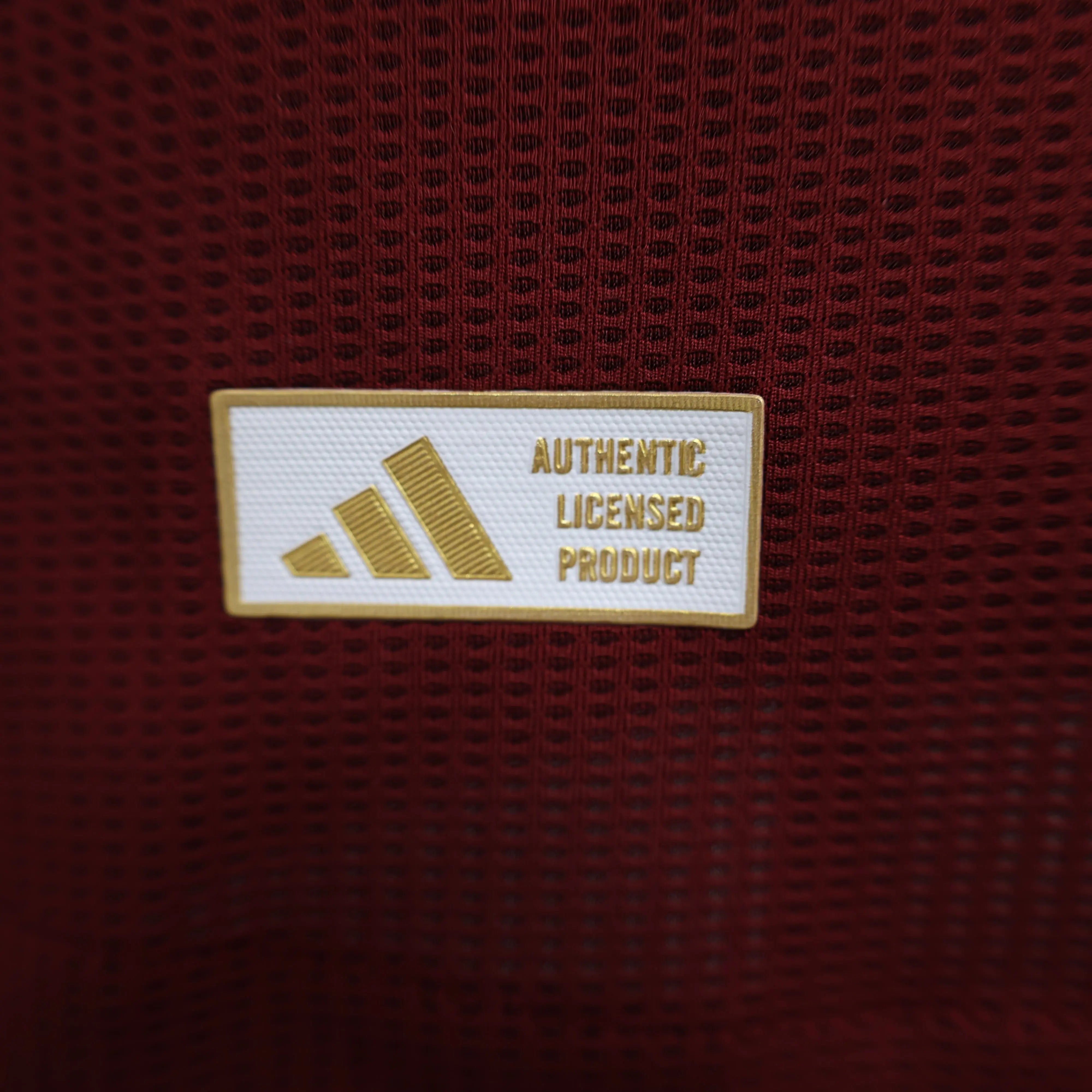 MAILLOT ASTON VILLA DOMICILE 2024/2025 - Maillot du Monde